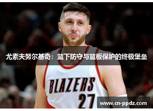 尤素夫努尔基奇：篮下防守与篮板保护的终极堡垒