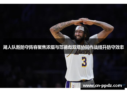 湖人队新防守阵容聚焦浓眉与范德彪双塔协同作战提升防守效率