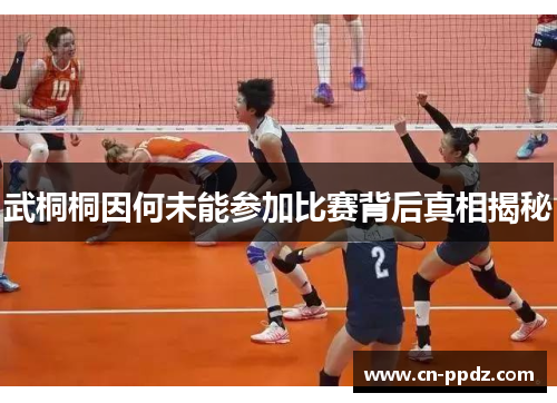武桐桐因何未能参加比赛背后真相揭秘