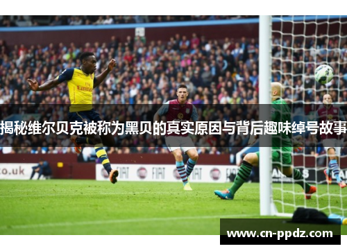 揭秘维尔贝克被称为黑贝的真实原因与背后趣味绰号故事